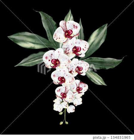Wedding bouquet with orchid flowers and green leaves. 134831965