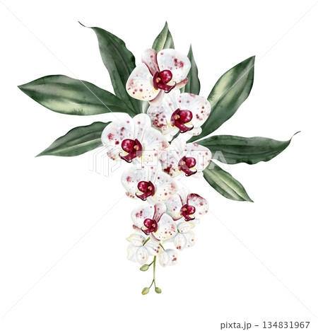 Wedding bouquet with orchid flowers and green leaves. Wedding bouquet with orchid flowers and green leaves. 134831967