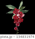Wedding bouquet with orchid flowers and green leaves. 134831974