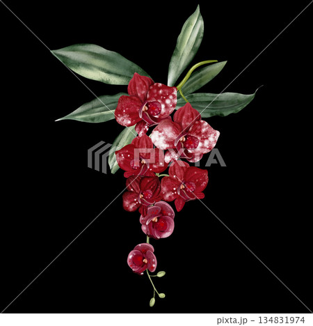 Wedding bouquet with orchid flowers and green leaves. Wedding bouquet with orchid flowers and green leaves. 134831974