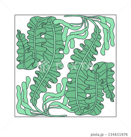Elegant curvy green seaweed symmetrical composition hand drawn vector illustration 134831976