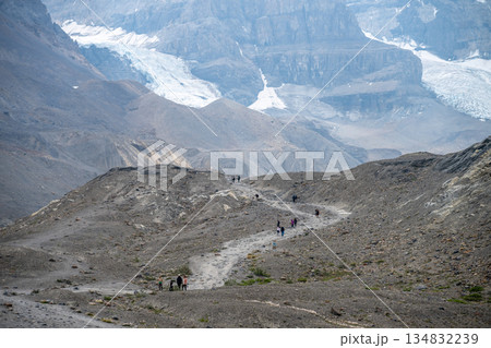 View into the Athabasca Glacier in Jasper National Park with cloudy sky 134832239