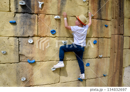 The boy is engaged in rock climbing. Climbing harness safety sports equipment. Rope amusement city park, obstacle course. Kids children's attraction center. High quality photo 134832697