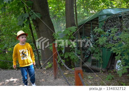 A toddler in a cap and yellow shirt wanders through the forest, surrounded by trees, grass, and terrestrial plants 134832712