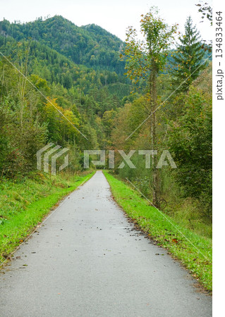 Typical Austrian natural landscape, road in the mountain valley 134833464