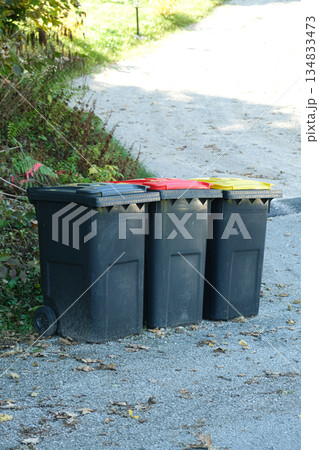 Garbage sorting in Europe. Garbage cans with colorful lids for different types of garbage 134833473