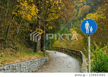 Blue Pedestrian and Bicycle Shared Path Sign Blue Pedestrian and Bicycle Shared Path Sign 134833483