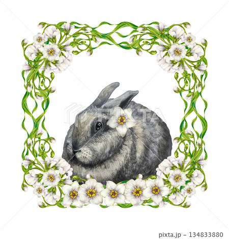 Cute gray rabbit in square frame of white forget-me-not flowers, green leaves isolated on a white background. Watercolor animal clip art, hand-drawn in a realistic style, for Easter cards 134833880