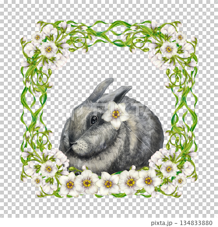 Cute gray rabbit in square frame of white forget-me-not flowers, green leaves isolated on a white background. Watercolor animal clip art, hand-drawn in a realistic style, for Easter cards 134833880