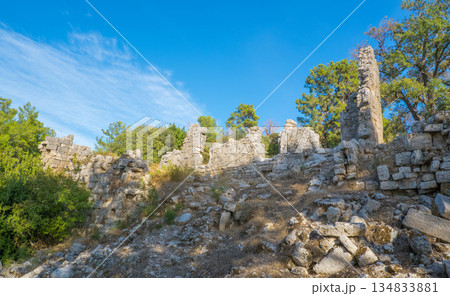 Ruins of ancient Phaselis, Antalya province. Turkey ancient city, streets, columns, buildings, scattered stones and parts of ruins and artifacts. 134833881