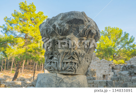 Details of the ruins of the ancient city of Phaselis in Lycia in modern Turkey. Remains of columns and capitals. Details of the ruins of the ancient city of Phaselis in Lycia in modern Turkey. Remains of columns and capitals. 134833891