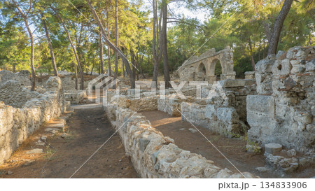 Ruins of ancient city of Phaselis near village of Camyuva, Turkey. Ruins of ancient city of Phaselis near village of Camyuva, Turkey. 134833906
