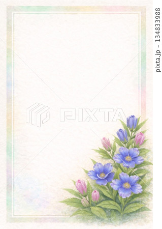 フレーム素材　花　リンドウ　竜胆　りんどう 134833988