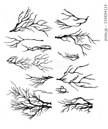 A set of tree branches . hand drawing. Not AI Vector illustration. 134834114