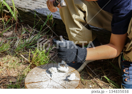 化石掘り遊びをする子ども（8歳児／男の子） 134835038