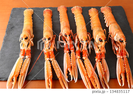 fresh red scampi as delicacy meditarrean sea food in costa brava 134835117