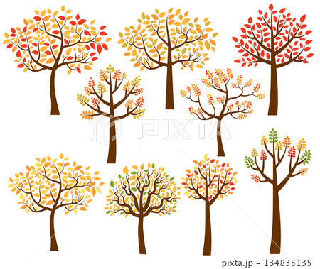 Vector collection of autumn tree silhouettes Vector collection of autumn tree silhouettes 134835135