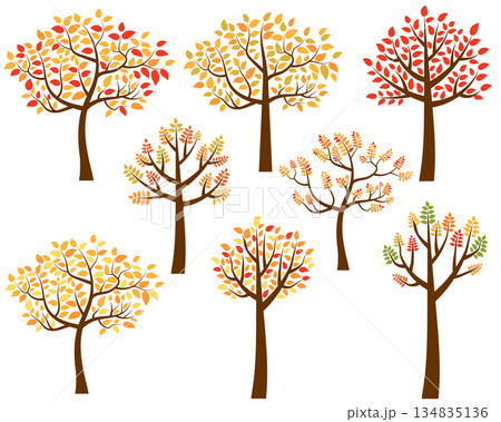 Vector fall autumn trees with orange and yellow leaves 134835136