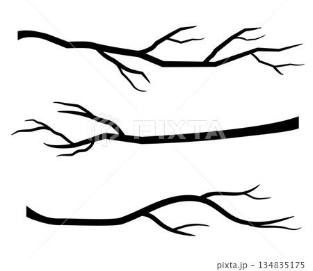 Black branches without leaves Black branches without leaves 134835175