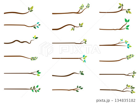 Simple vector tree branches with green leaves on white background for greeting cards and graphic design Simple vector tree branches with green leaves on white background for greeting cards and graphic design 134835182
