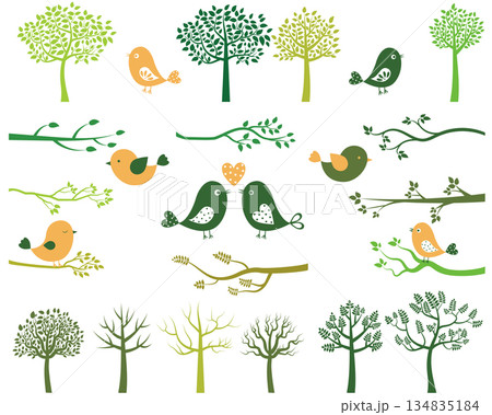 Green trees and branches silhouettes and birds Green trees and branches silhouettes and birds 134835184