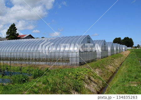 農業用ビニールハウス 134835263