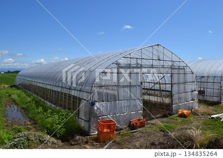 農業用ビニールハウス 134835264