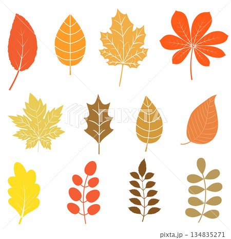 Vector set with autumn leaves in flat style in orange, yellow and brown colors for icons and graphic design 134835271