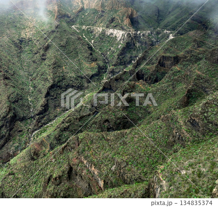 Green mountains and rocks in a foggy weather, scenic landscape with no people. 134835374