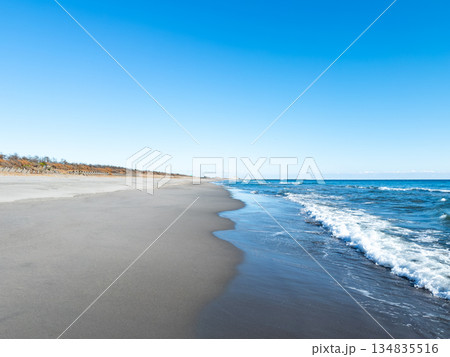 大倉戸海岸（静岡県湖西市） 134835516