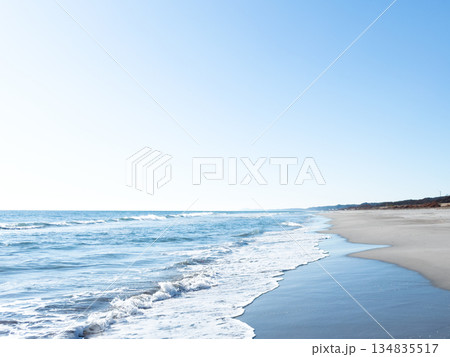 大倉戸海岸（静岡県湖西市） 134835517