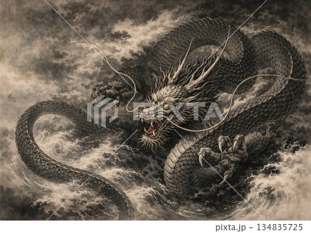 雲海に現れるかっこいい龍 134835725