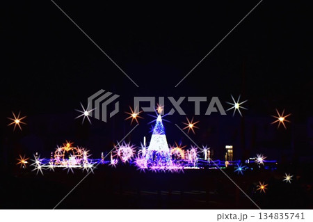 岩国駅裏のクリスマスツリー2025キラキラ 岩国駅裏のクリスマスツリー2025キラキラ 134835741