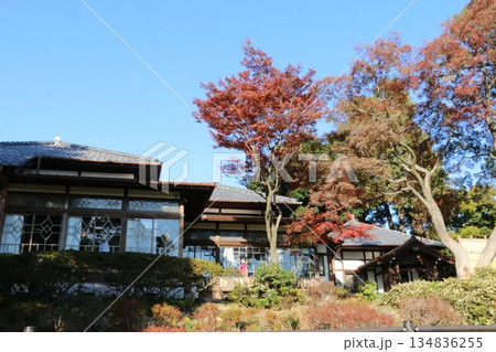 荻窪三庭園の一つ荻外荘公園 134836255