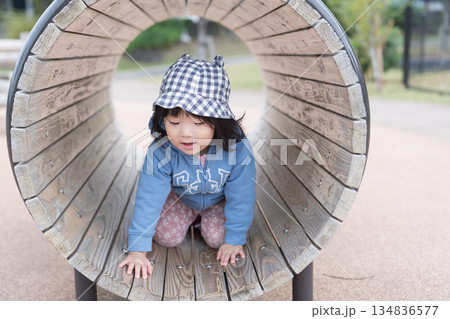 公園の遊具で遊ぶ日本人の女の子の幼児 134836577