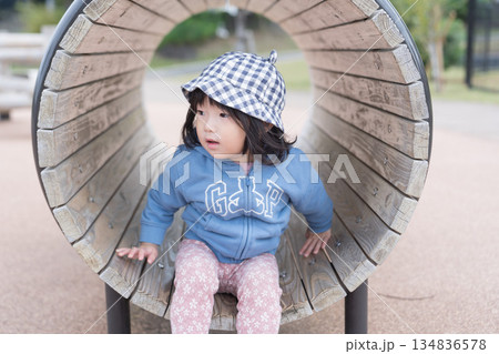 公園の遊具で遊ぶ日本人の女の子の幼児 134836578