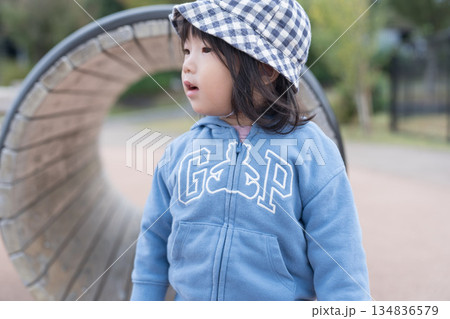 公園の遊具で遊ぶ日本人の女の子の幼児 134836579
