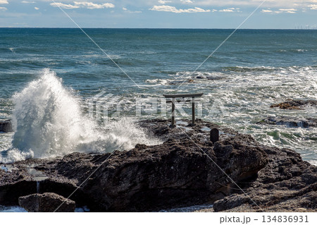 半逆光で荒波が輝く神磯の鳥居での海景【茨城県大洗海岸】 134836931
