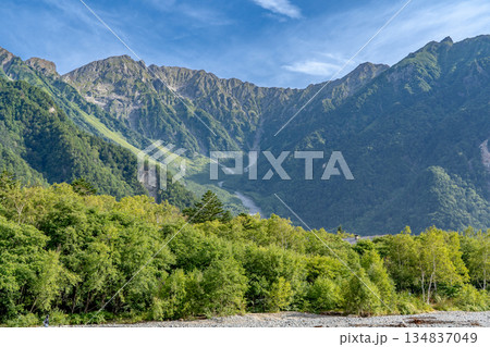 梓川から見上げる穂高連峰（奥穂高岳と吊尾根）　上高地自然遊歩道　森林浴ウォーキング 　 134837049