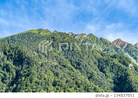 梓川から見上げる穂高連峰（西穂高岳）　上高地自然遊歩道　森林浴ウォーキング 　 134837051