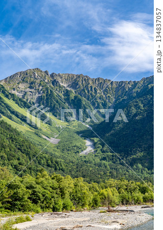 梓川から見上げる穂高連峰(奥穂高岳と吊尾根) 上高地自然遊歩道 森林浴ウォーキング 梓川から見上げる穂高連峰(奥穂高岳と吊尾根) 上高地自然遊歩道 森林浴ウォーキング 134837057