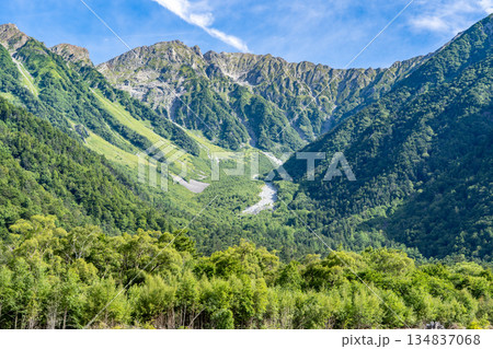 小梨平の梓川から見上げる穂高連峰（奥穂高岳と吊尾根）　上高地自然遊歩道　森林浴ウォーキング 　 134837068