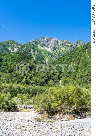 梓川の左岸から見上げる前穂高岳の北尾根　上高地自然遊歩道　森林浴ウォーキング 134837093