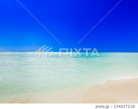 夏・海・ビーチイメージ　ハワイ 134837119
