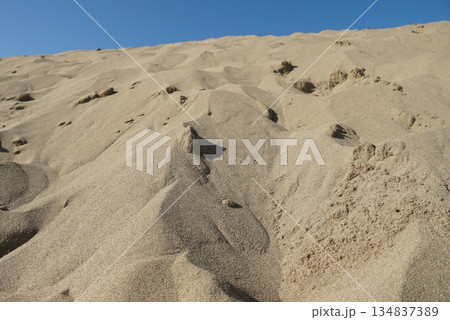 砂に出来た風紋 134837389