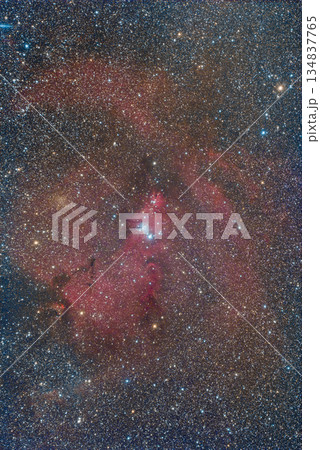 コーン星雲とクリスマスツリー星団 2022 134837765