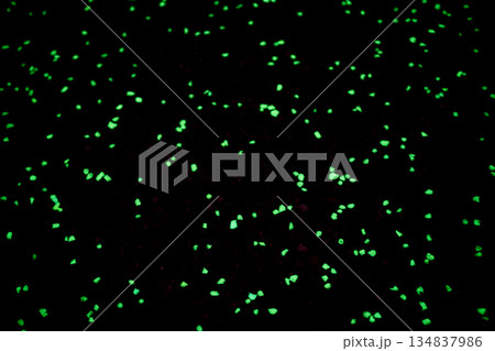 A section glow-in-the-dark concrete sidewalk along Nathan's Miles Glow Trail in Vinton, Iowa, USA 134837986