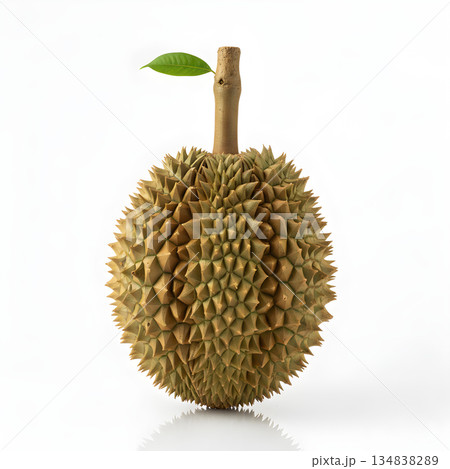 Durian Fruit Whole with Stem and Leaf 134838289