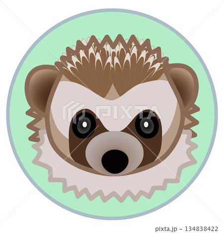 円形背景のついたハリネズミの顔イラスト 134838422