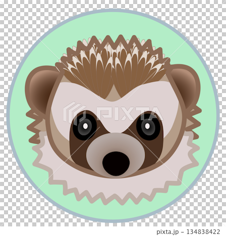 円形背景のついたハリネズミの顔イラスト 134838422